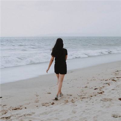 管家婆一码一肖资料大全app下载